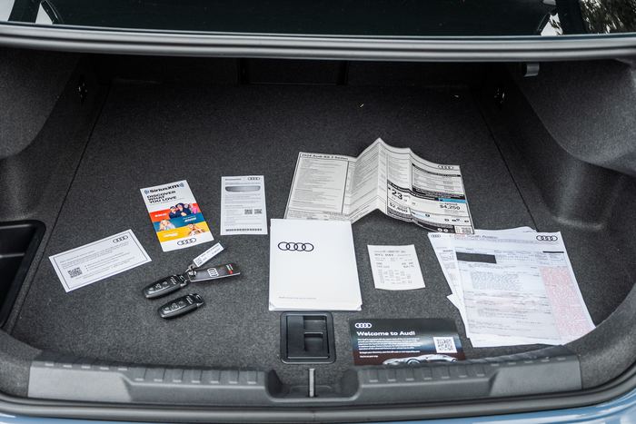Audi RS3 photo 219